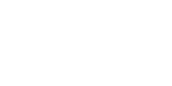 플레이텍 logo